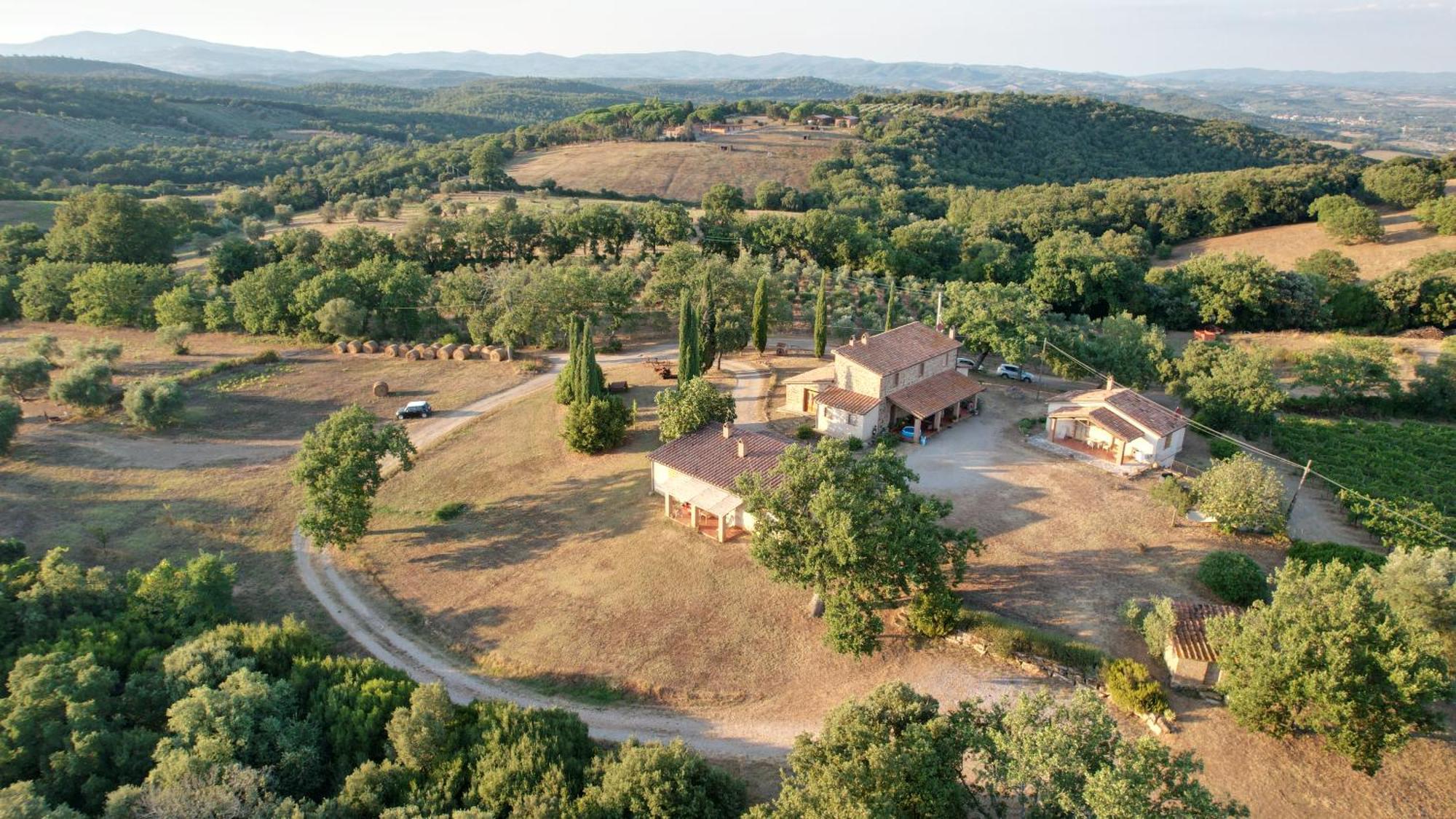 Agriturismo Belvedere Di Pierini E Brugi Campagnatico Экстерьер фото