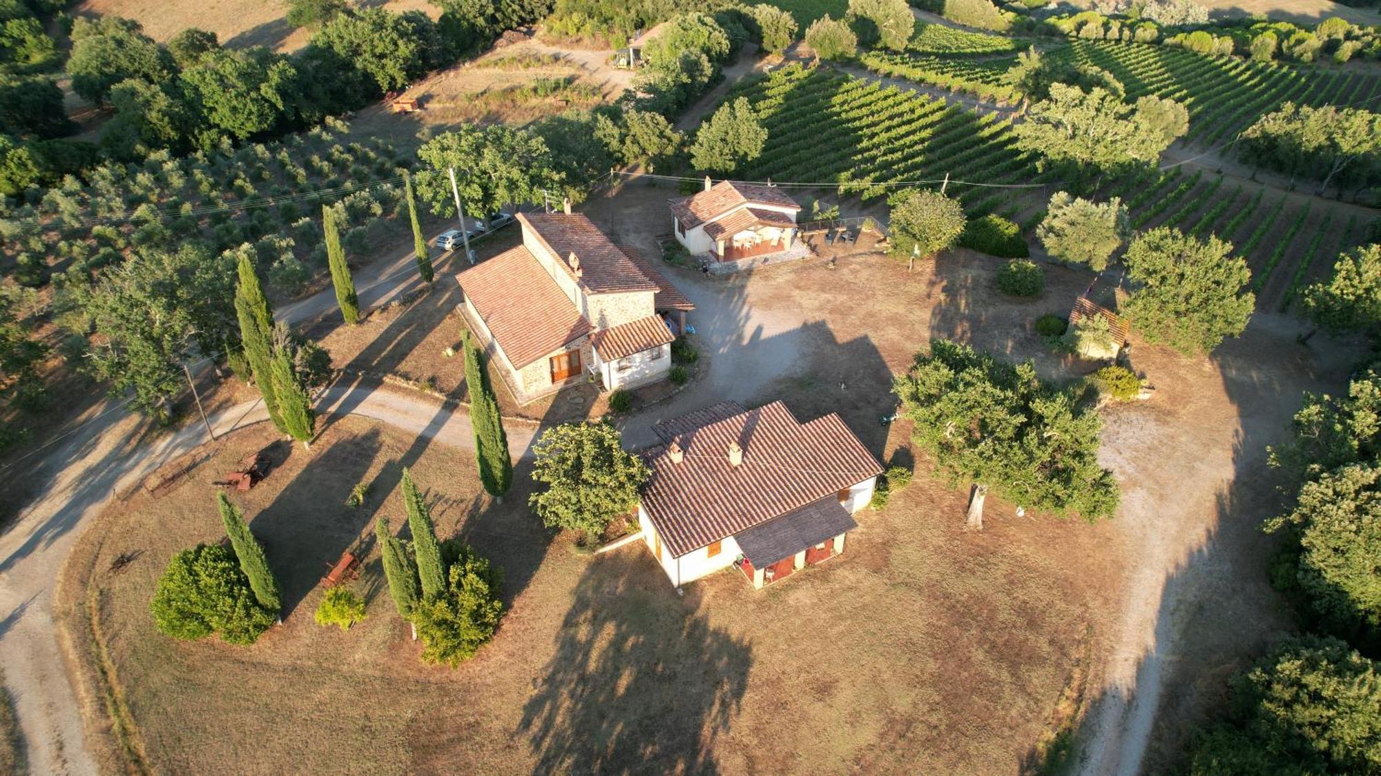 Agriturismo Belvedere Di Pierini E Brugi Campagnatico Экстерьер фото