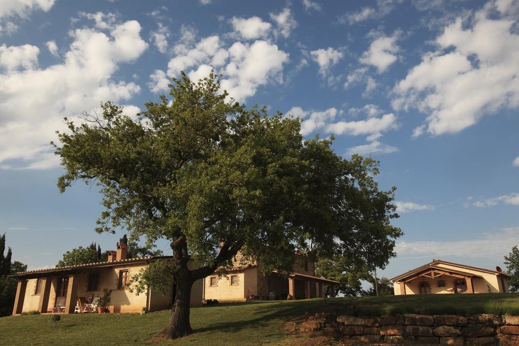 Agriturismo Belvedere Di Pierini E Brugi Campagnatico Экстерьер фото
