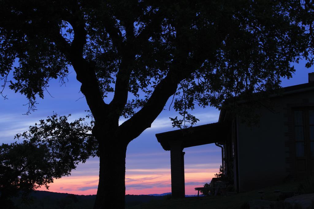 Agriturismo Belvedere Di Pierini E Brugi Campagnatico Номер фото