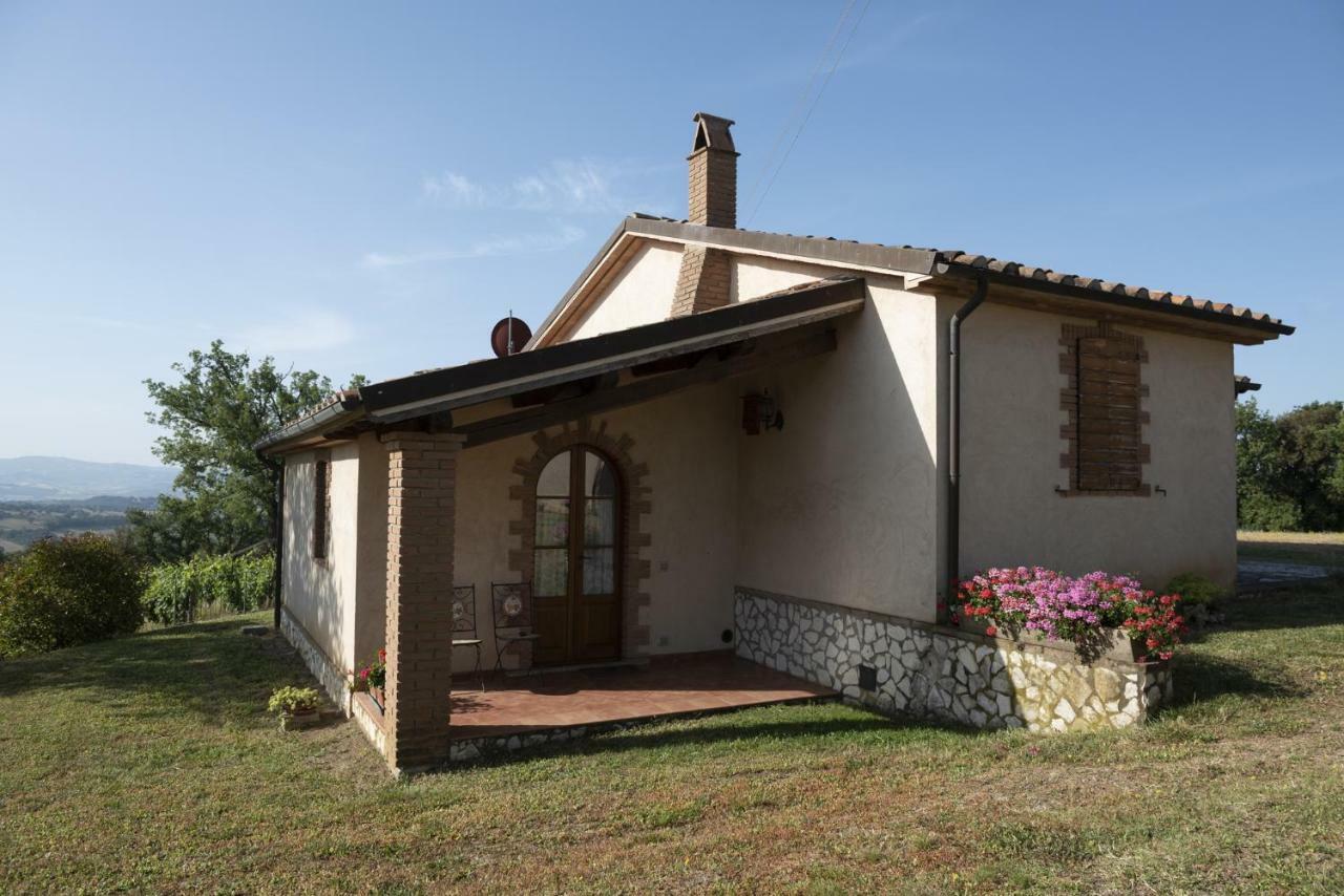 Agriturismo Belvedere Di Pierini E Brugi Campagnatico Экстерьер фото